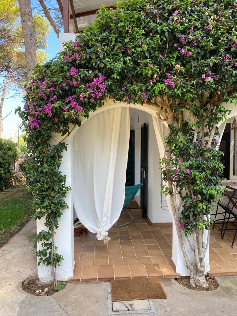 Bellver 1, Ciutadella-Cala Blanca Cala Blanca  Pokój zdjęcie